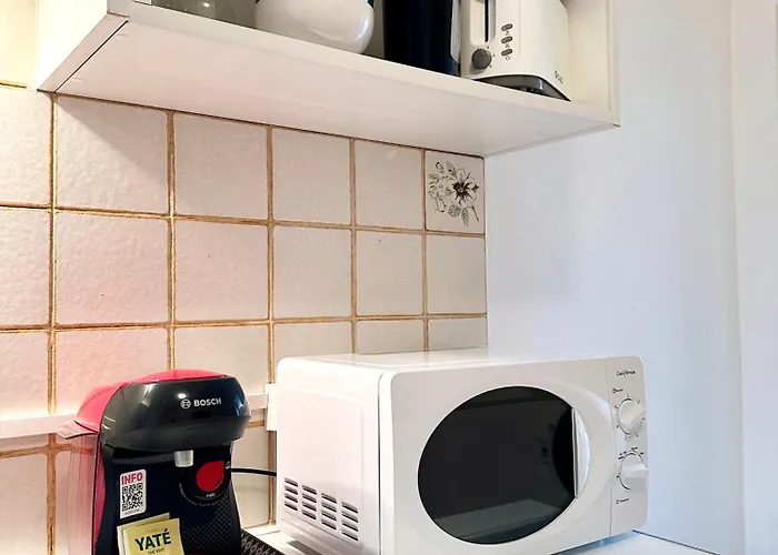 Апартаменты Le Maestro - Vue Imprenable & Hyper Centre Мон-де-Марсан